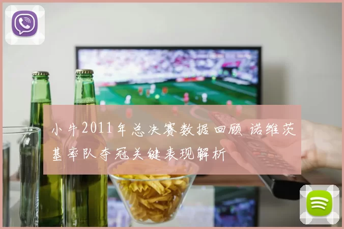 小牛2011年总决赛数据回顾 诺维茨基率队夺冠关键表现解析