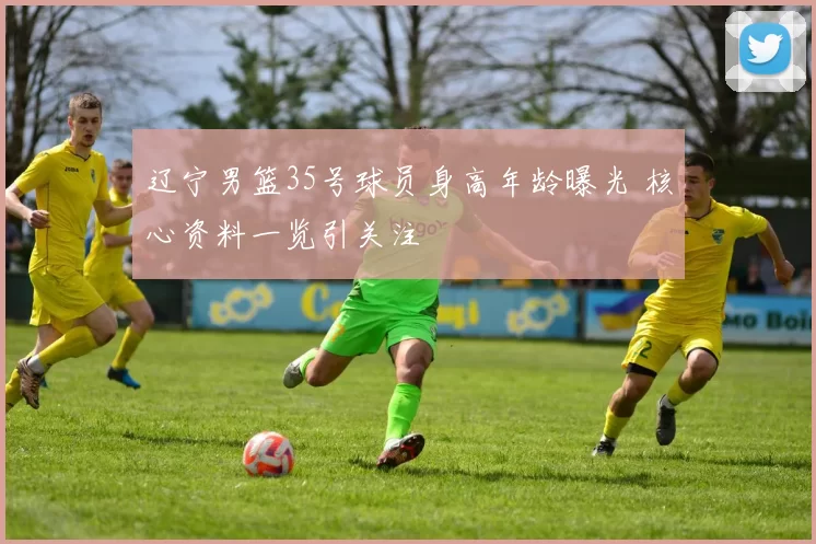 辽宁男篮35号球员身高年龄曝光 核心资料一览引关注