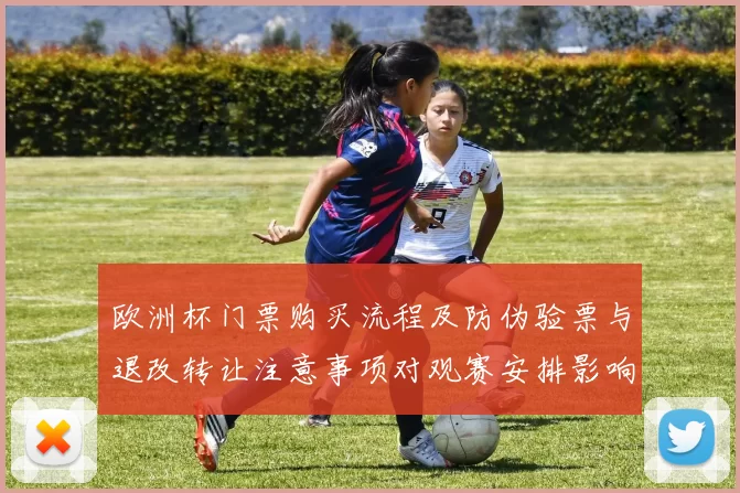 欧洲杯门票购买流程及防伪验票与退改转让注意事项对观赛安排影响